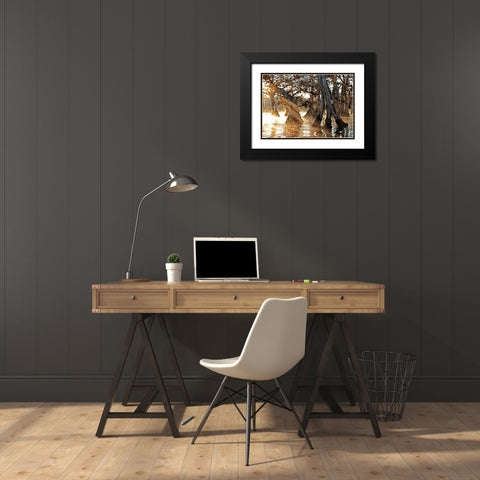Cypress Creek II Black Modern Wood Framed Art Print with Double Matting by Nawrocke, Bruce