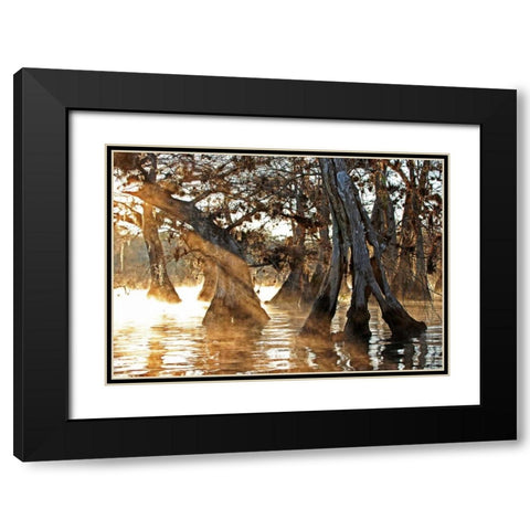 Cypress Creek II Black Modern Wood Framed Art Print with Double Matting by Nawrocke, Bruce
