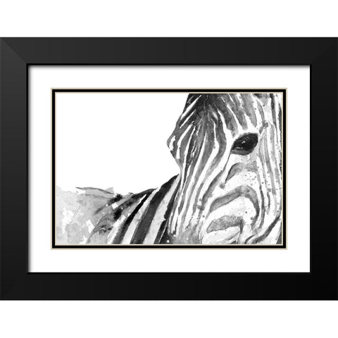 Zebra Gaze Black Modern Wood Framed Art Print with Double Matting by Pinto, Patricia