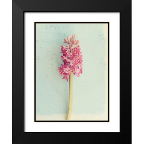 Soft Pink Hyacinth Black Modern Wood Framed Art Print with Double Matting by Gardner, Sarah