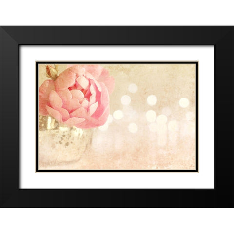 Spotlight Blooms Black Modern Wood Framed Art Print with Double Matting by Gardner, Sarah