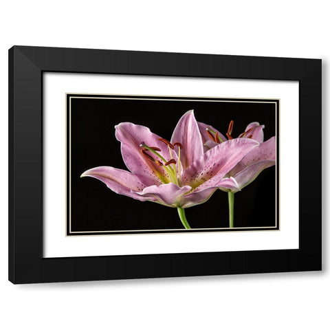 Lombardia Black Modern Wood Framed Art Print with Double Matting by Lake, Shelley