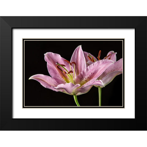 Lombardia Black Modern Wood Framed Art Print with Double Matting by Lake, Shelley