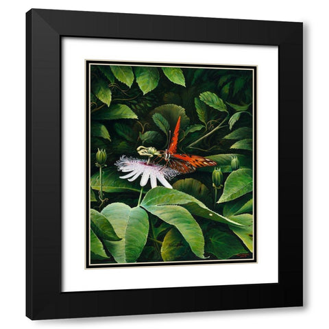 Snacking Butterfly Black Modern Wood Framed Art Print with Double Matting by Nawrocke, Bruce