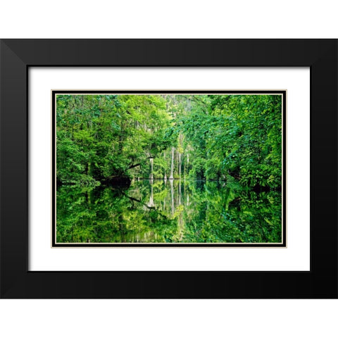 Serenity Black Modern Wood Framed Art Print with Double Matting by Nawrocke, Bruce