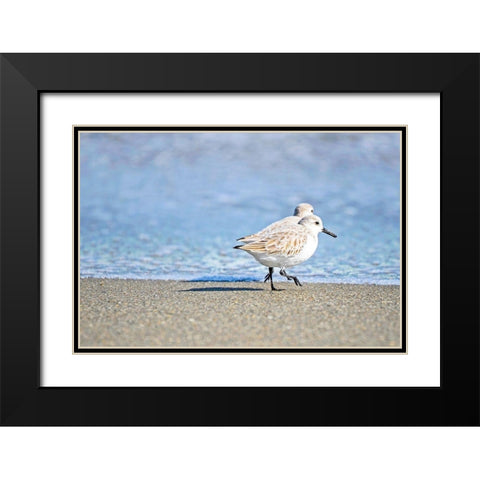 Walk Along The Coast Black Modern Wood Framed Art Print with Double Matting by Nawrocke, Bruce