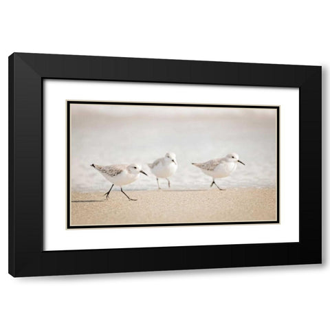 Stroll On Black Modern Wood Framed Art Print with Double Matting by Nawrocke, Bruce