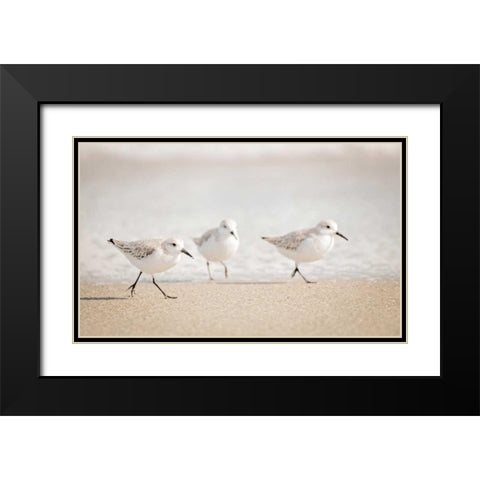 Stroll On Black Modern Wood Framed Art Print with Double Matting by Nawrocke, Bruce