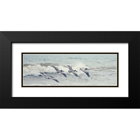 Pelican Panel II Black Modern Wood Framed Art Print with Double Matting by Nawrocke, Bruce