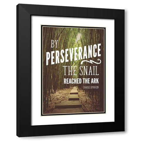 Perseverance Black Modern Wood Framed Art Print with Double Matting by Nawrocke, Bruce