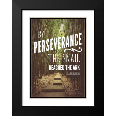 Perseverance Black Modern Wood Framed Art Print with Double Matting by Nawrocke, Bruce