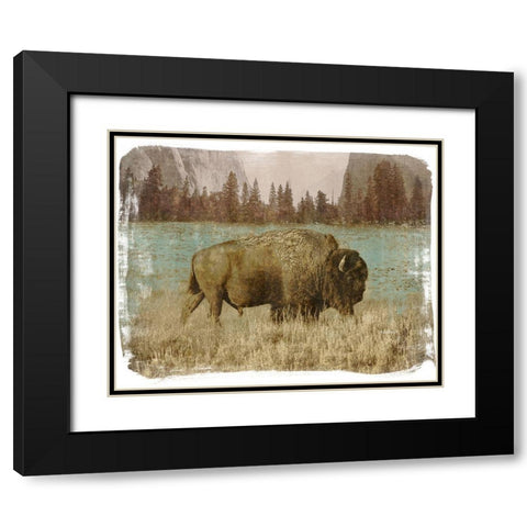 Bison in the Park Black Modern Wood Framed Art Print with Double Matting by Meneely, Dan