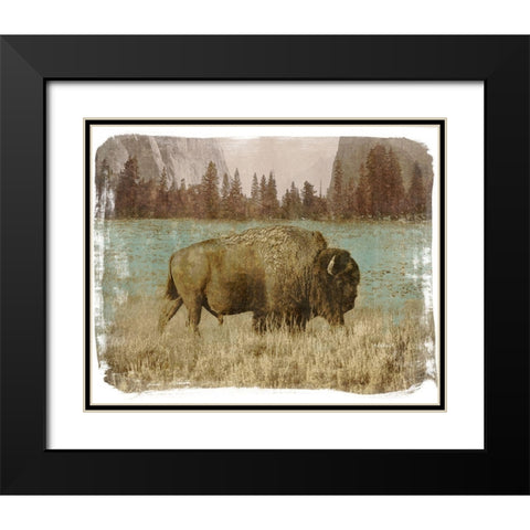 Bison in the Park Black Modern Wood Framed Art Print with Double Matting by Meneely, Dan