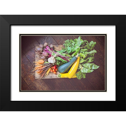 Fresh Organic II Black Modern Wood Framed Art Print with Double Matting by Poynter, Kelly