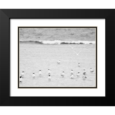 The Coastline Flock Black Modern Wood Framed Art Print with Double Matting by Bill Carson Photography
