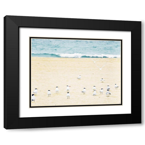Relaxed Seagulls Black Modern Wood Framed Art Print with Double Matting by Bill Carson Photography