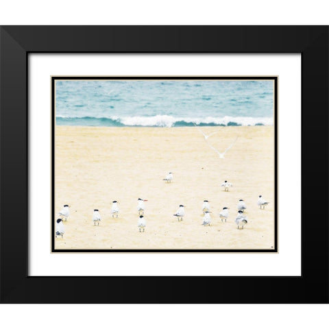 Relaxed Seagulls Black Modern Wood Framed Art Print with Double Matting by Bill Carson Photography