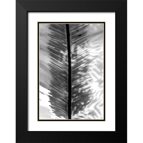 BW Leaf Black Modern Wood Framed Art Print with Double Matting by Bill Carson Photography