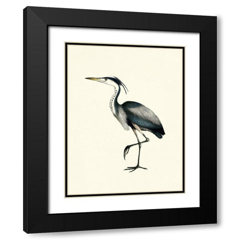 Bird I on Cream Black Modern Wood Framed Art Print with Double Matting by Piddix