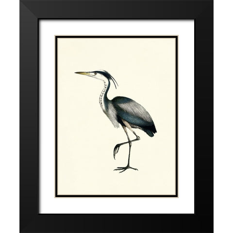 Bird I on Cream Black Modern Wood Framed Art Print with Double Matting by Piddix