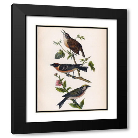 Bird Branch Black Modern Wood Framed Art Print with Double Matting by Piddix