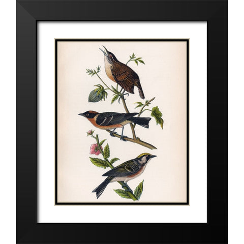 Bird Branch Black Modern Wood Framed Art Print with Double Matting by Piddix