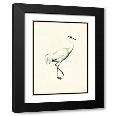 Bird III on Cream Black Modern Wood Framed Art Print with Double Matting by Piddix