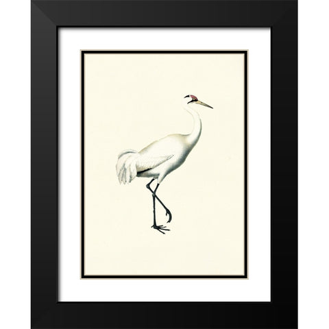Bird III on Cream Black Modern Wood Framed Art Print with Double Matting by Piddix