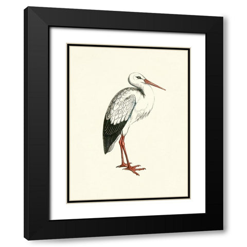 Bird II on Cream Black Modern Wood Framed Art Print with Double Matting by Piddix