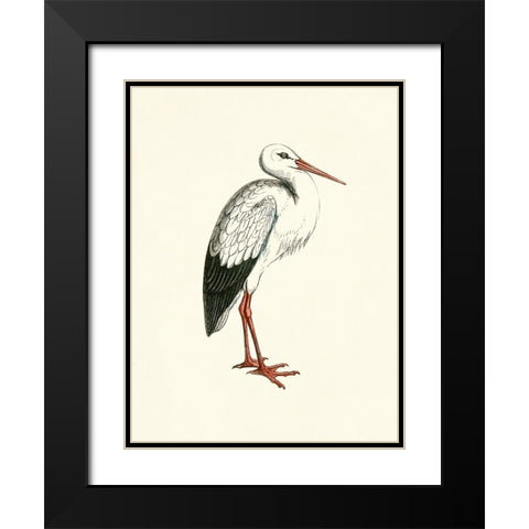 Bird II on Cream Black Modern Wood Framed Art Print with Double Matting by Piddix