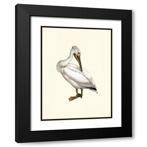 Bird IV on Cream Black Modern Wood Framed Art Print with Double Matting by Piddix