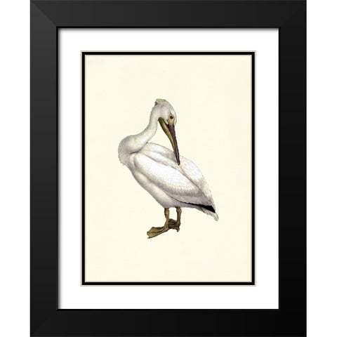 Bird IV on Cream Black Modern Wood Framed Art Print with Double Matting by Piddix