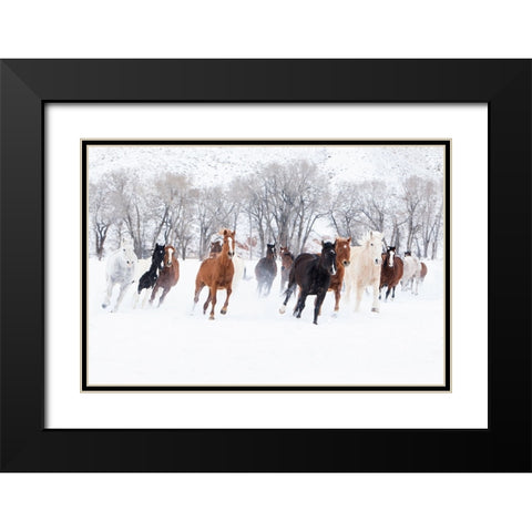 Winter Run Black Modern Wood Framed Art Print with Double Matting by Walker, Carol