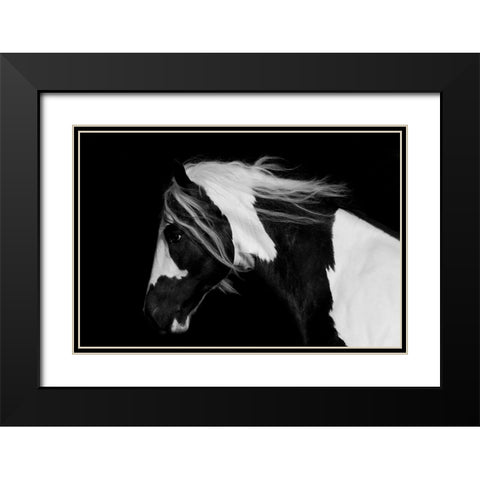 Black And White Stallion Black Modern Wood Framed Art Print with Double Matting by Walker, Carol