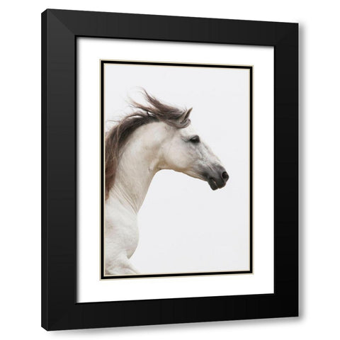 Straight Ahead Black Modern Wood Framed Art Print with Double Matting by Walker, Carol