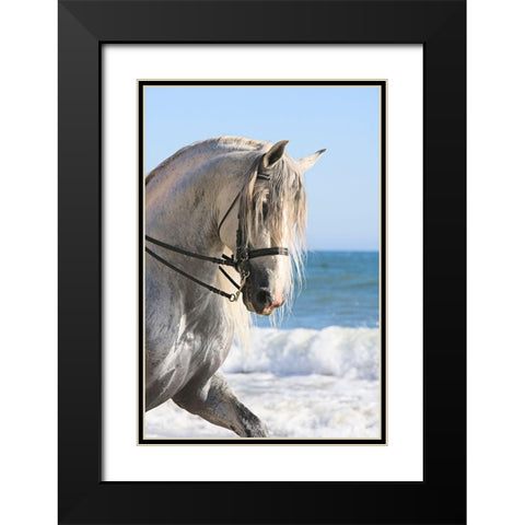 Trot on the Beach Black Modern Wood Framed Art Print with Double Matting by Walker, Carol