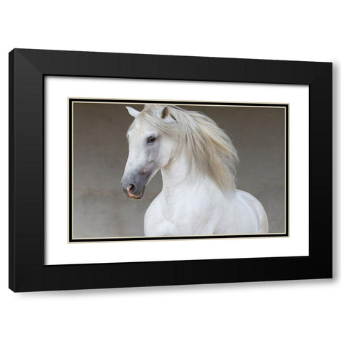 Calm Beauty Black Modern Wood Framed Art Print with Double Matting by Walker, Carol