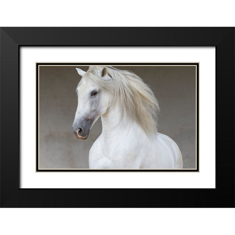 Calm Beauty Black Modern Wood Framed Art Print with Double Matting by Walker, Carol