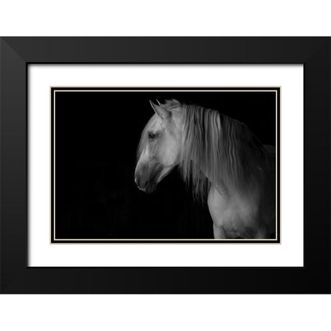 White Stallion in the Dark Black Modern Wood Framed Art Print with Double Matting by Walker, Carol