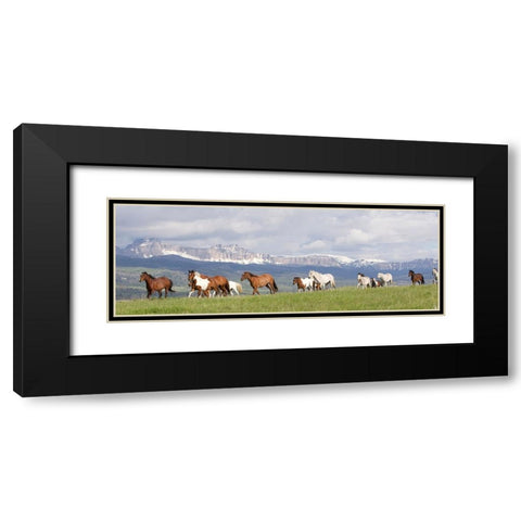 Absaroka Run Black Modern Wood Framed Art Print with Double Matting by Walker, Carol