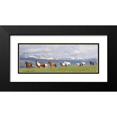 Absaroka Run Black Modern Wood Framed Art Print with Double Matting by Walker, Carol