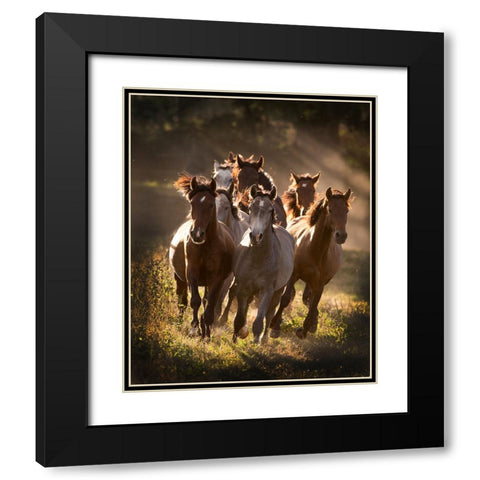 Running Mates Black Modern Wood Framed Art Print with Double Matting by Walker, Carol