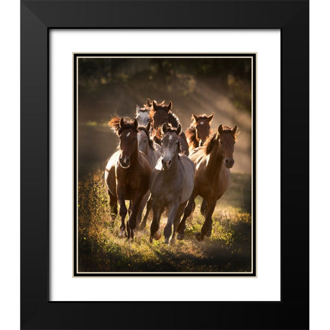 Running Mates Black Modern Wood Framed Art Print with Double Matting by Walker, Carol