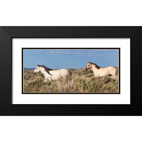 Trotting Trough The Field Black Modern Wood Framed Art Print with Double Matting by Walker, Carol