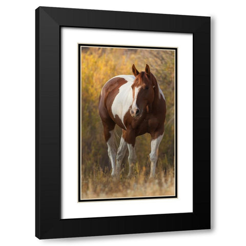 At Liberty Black Modern Wood Framed Art Print with Double Matting by Walker, Carol