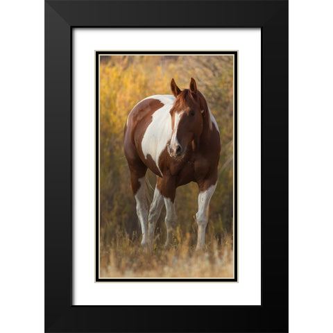 At Liberty Black Modern Wood Framed Art Print with Double Matting by Walker, Carol