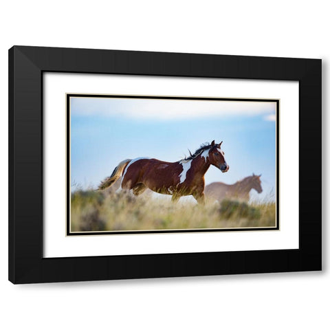 Eye Of The Horse Black Modern Wood Framed Art Print with Double Matting by Walker, Carol