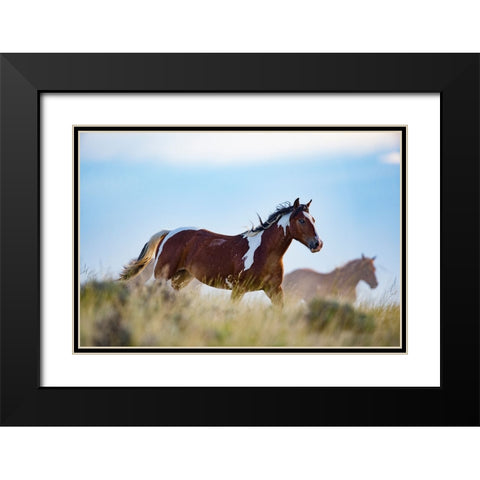 Eye Of The Horse Black Modern Wood Framed Art Print with Double Matting by Walker, Carol