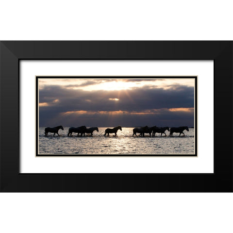 Camergue Horses At Dawn Black Modern Wood Framed Art Print with Double Matting by Walker, Carol