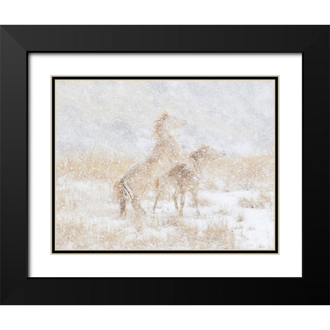 Snow Day For The Mustangs Black Modern Wood Framed Art Print with Double Matting by Walker, Carol